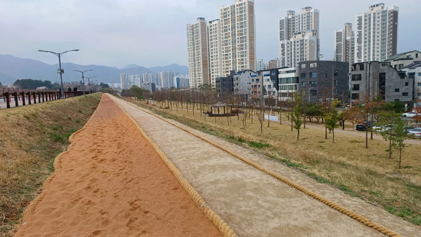구름나그네