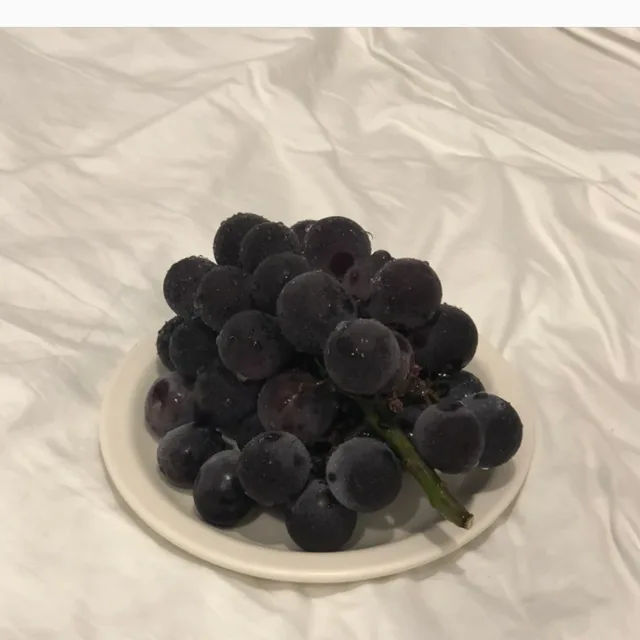 토리