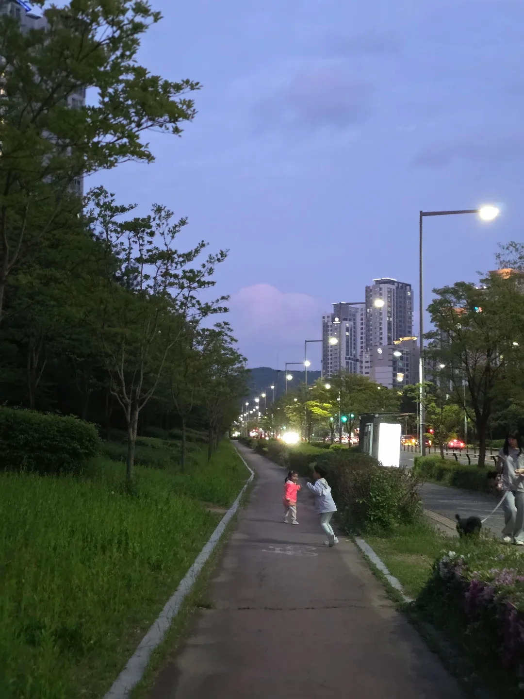 떠누맘
