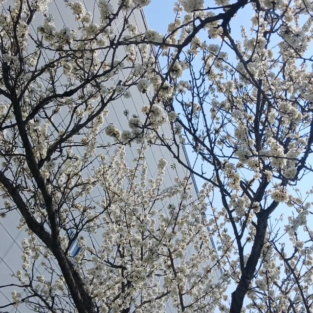 제임스