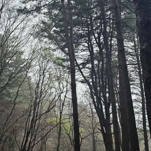 소울2소울
