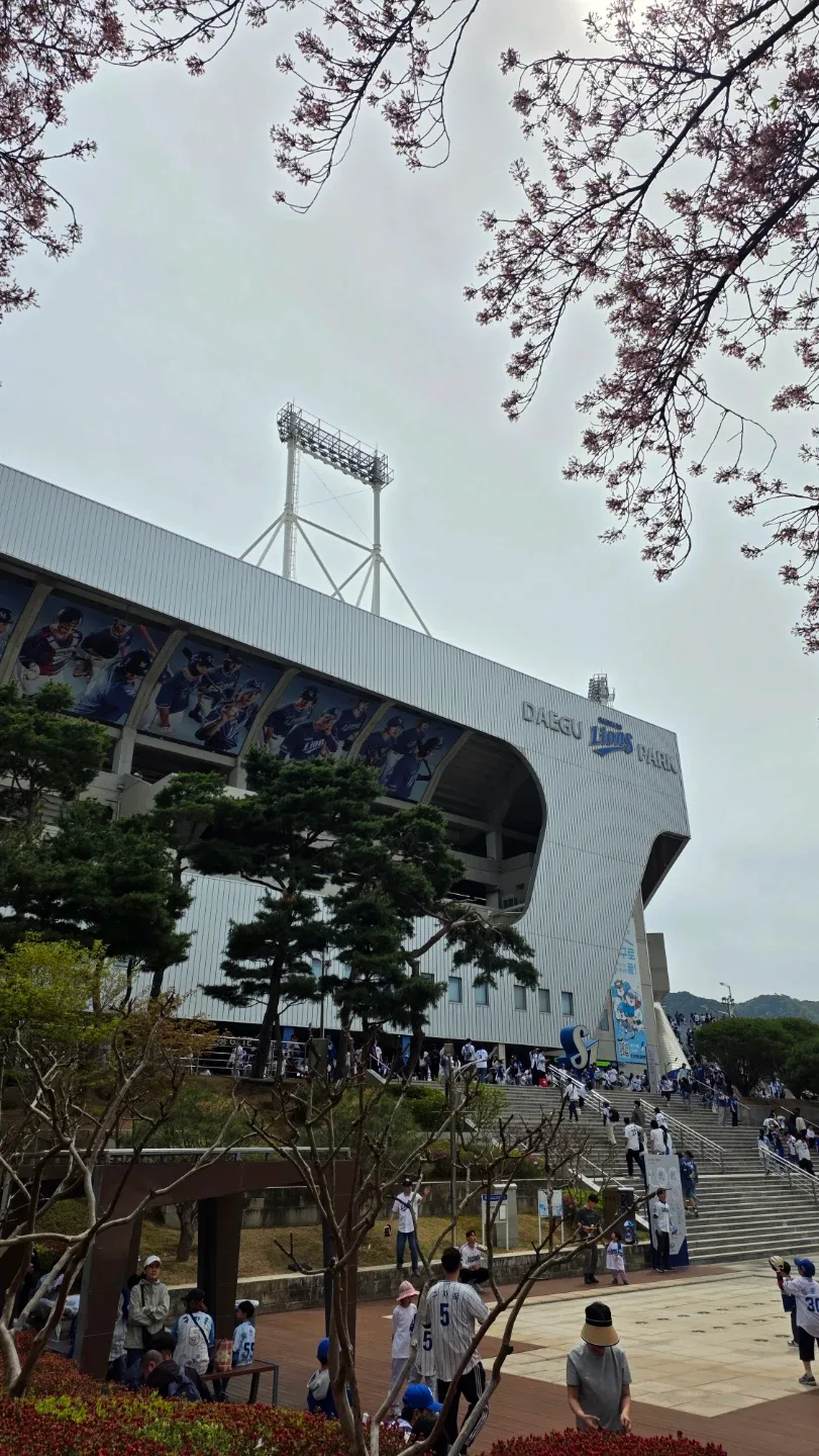라이온즈찐팬