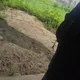 월피동
