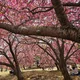 조선생