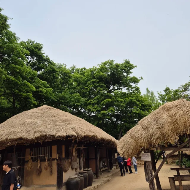 해피해피