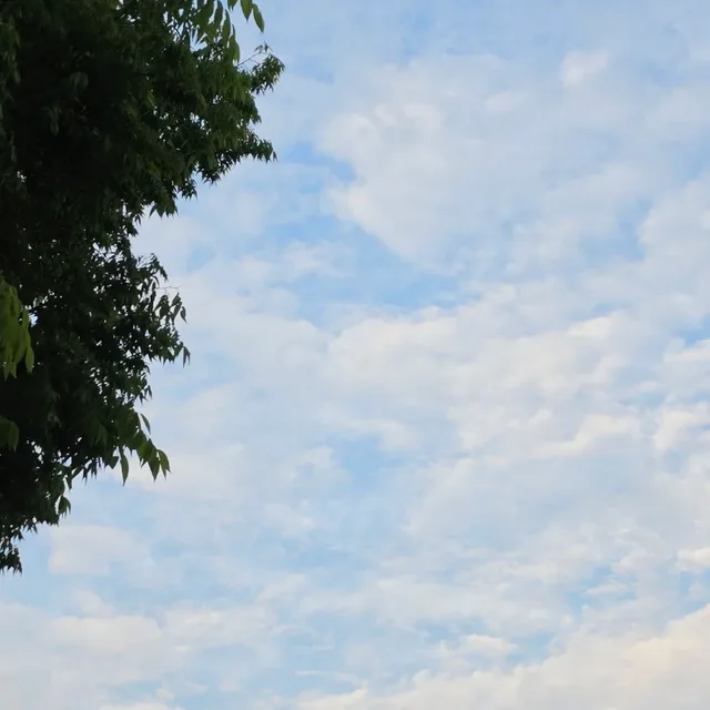 오산주민1