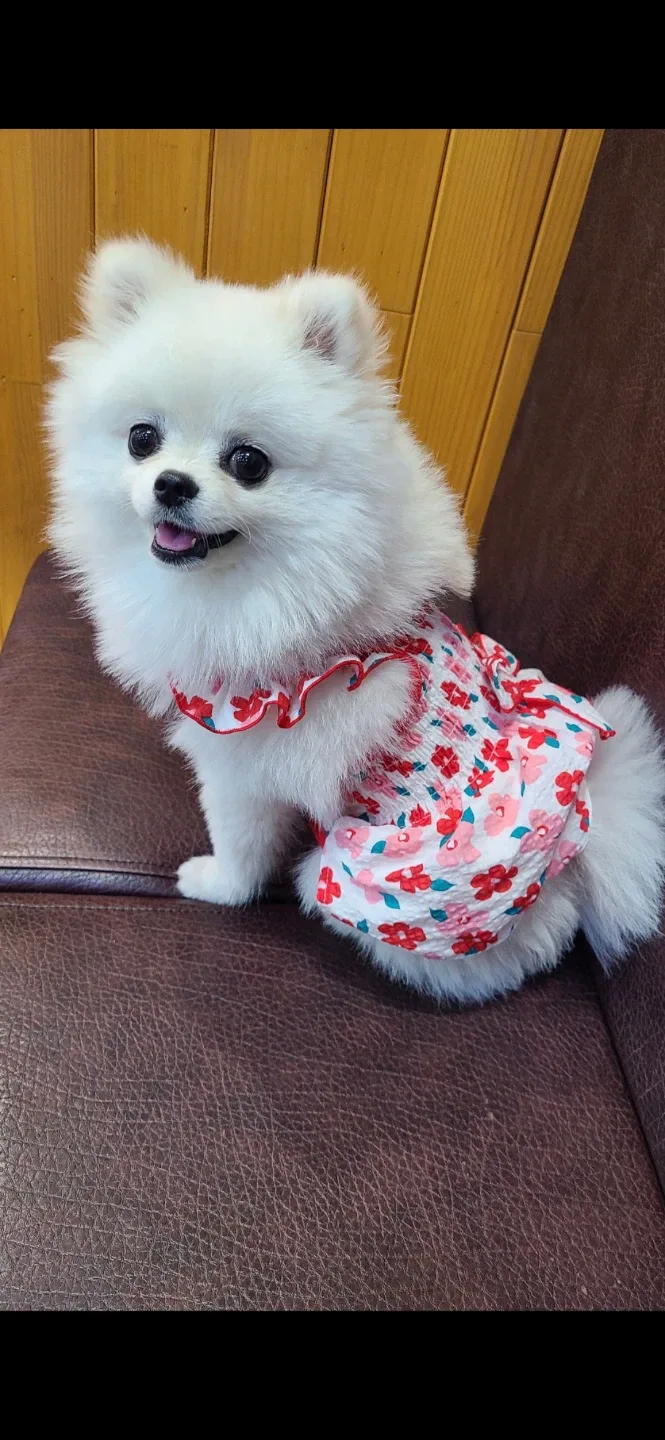 뽁쑨맘