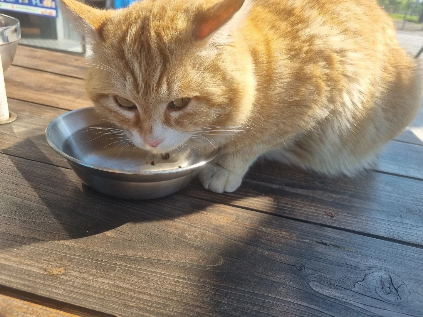 치킨콜라