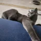 정성