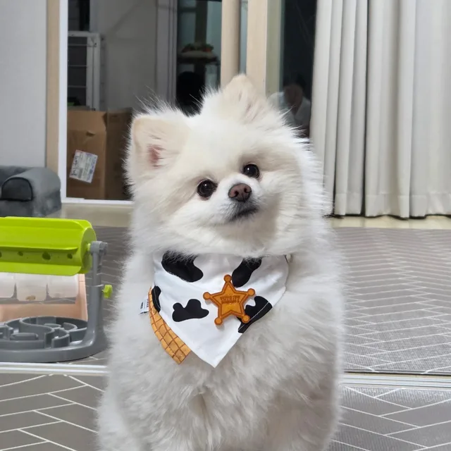 오편
