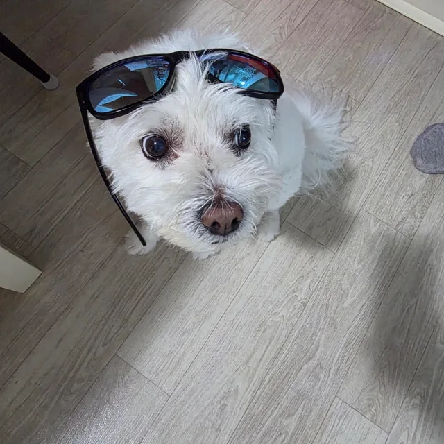 럭키승하