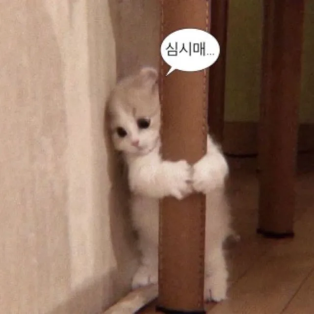 안녕하새우