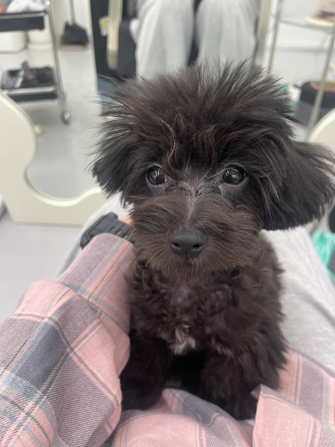 량이