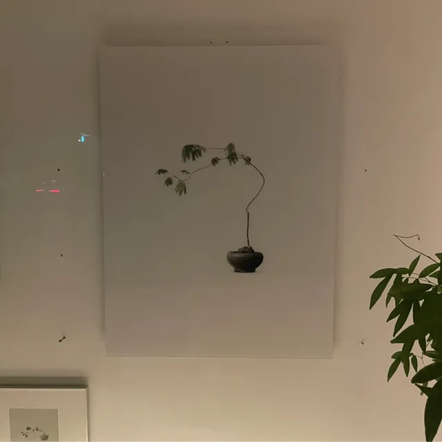 이도