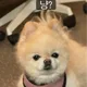 파산핑