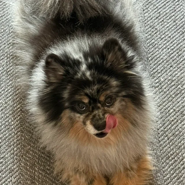 아프지마