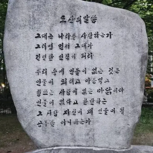영도갈매기v3