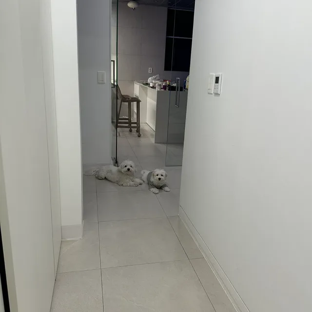 따끈쿠키