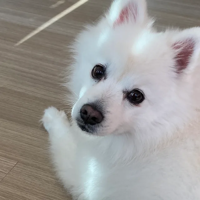 마루랑