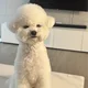 히히