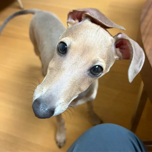 하루하루