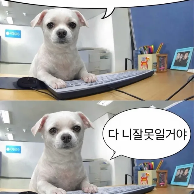 가격안내리고문의안받음