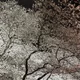 박새로이