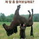 쏭쏭