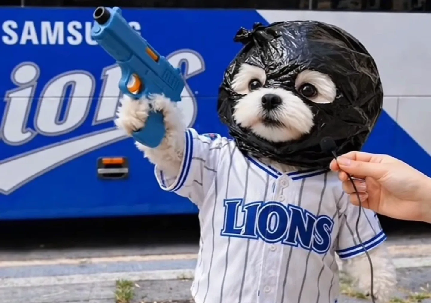 Lionz