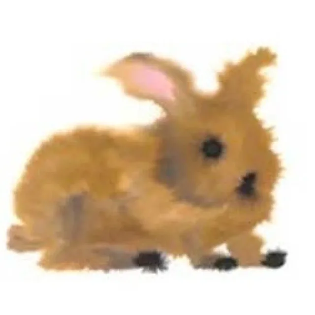 토끼와거북이