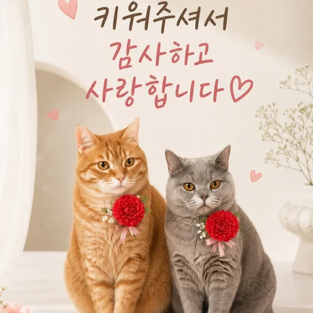 사랑이들