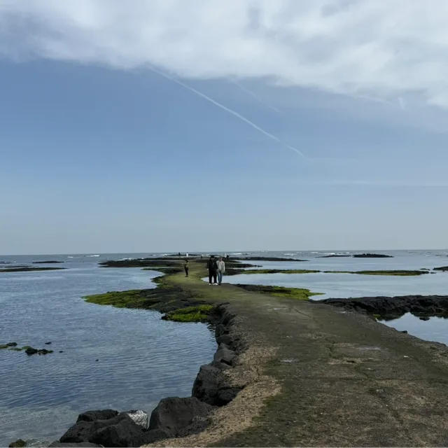 2팔청춘