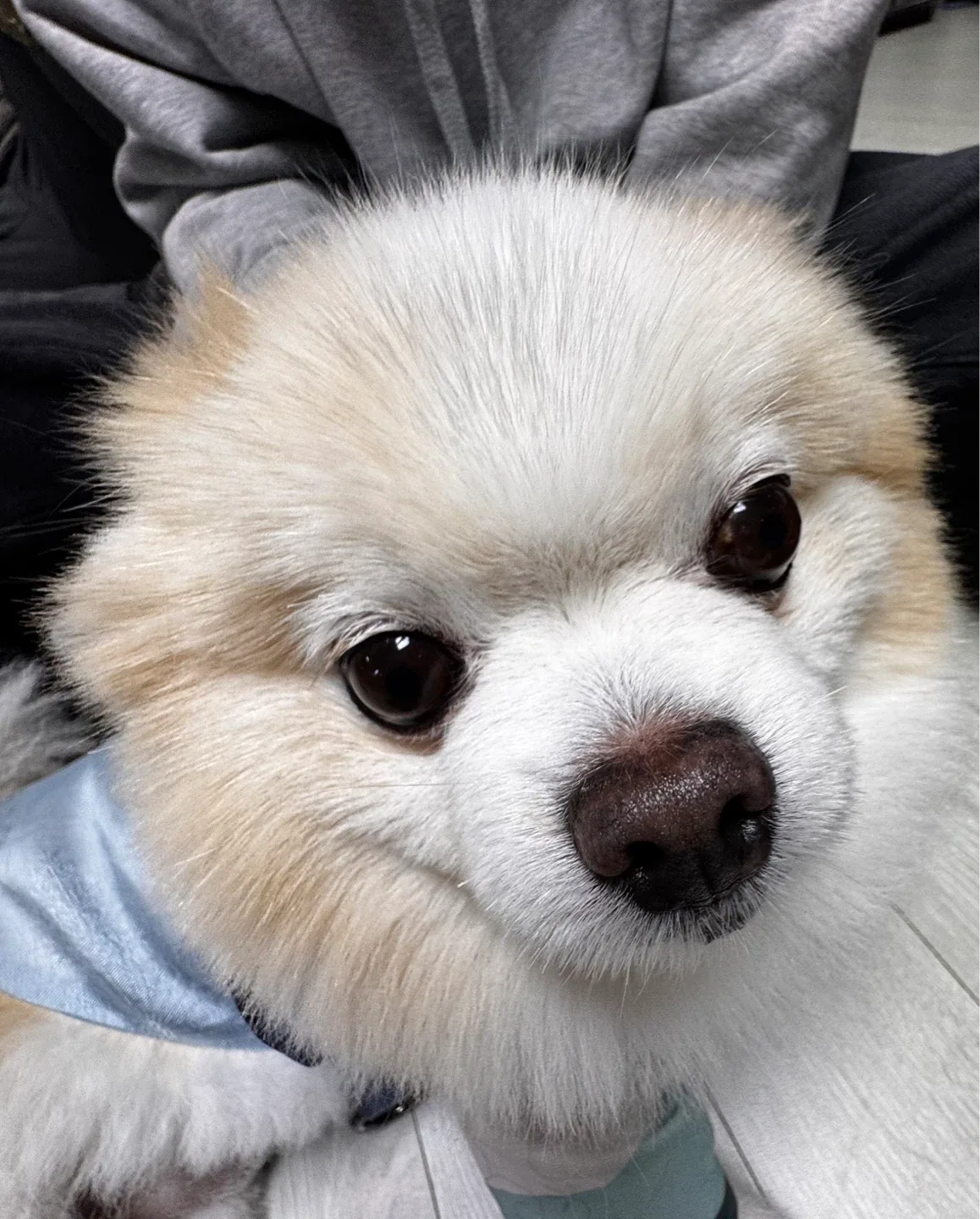 여러개사면할인