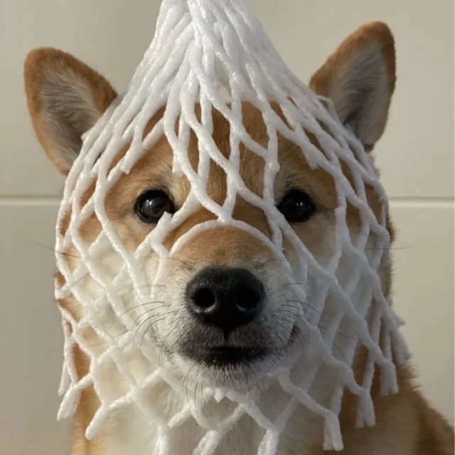 칸쵸