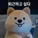 담당자