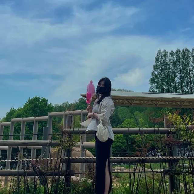 해피