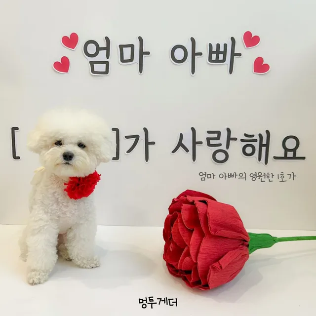 아가