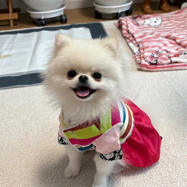 구름이