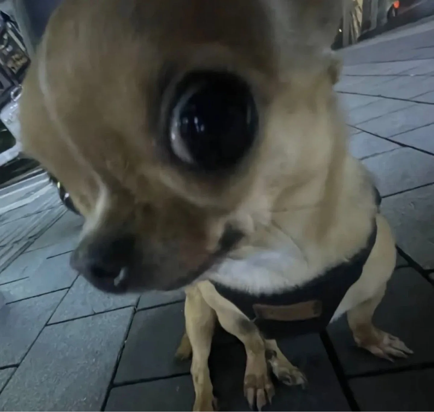 물건팔아야지