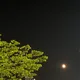 둘만