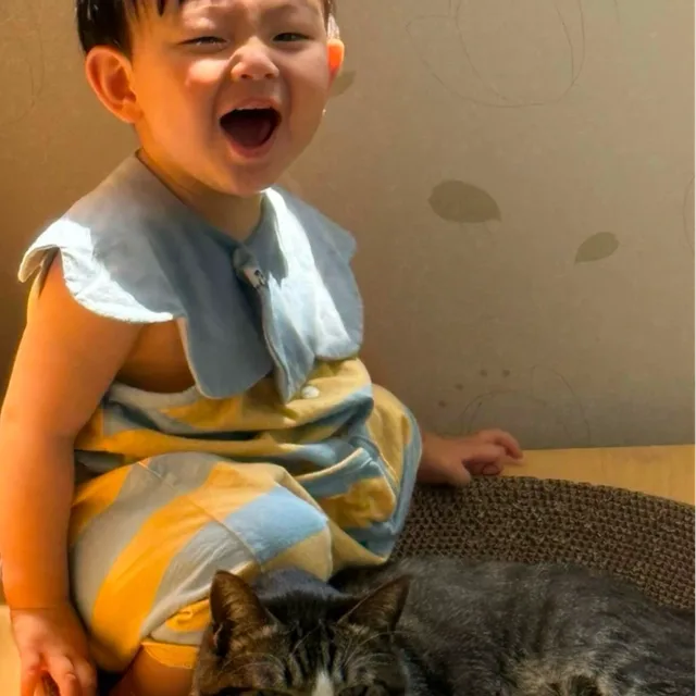 땅콩북