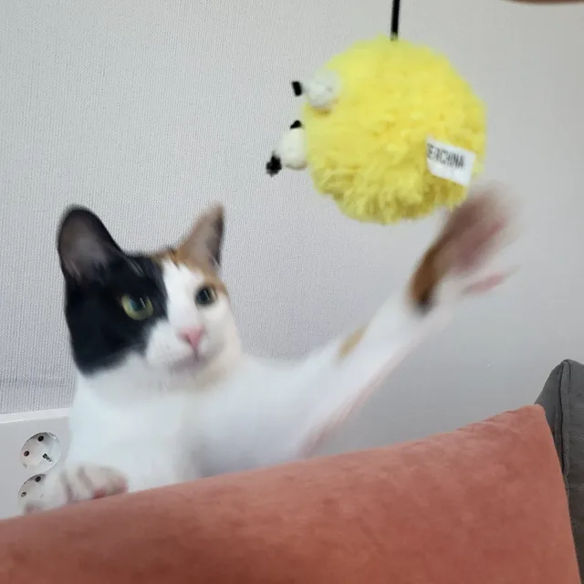 나초