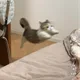 샤샤