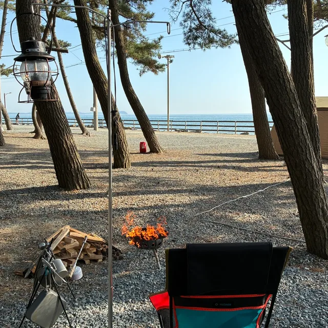 뮤뮤
