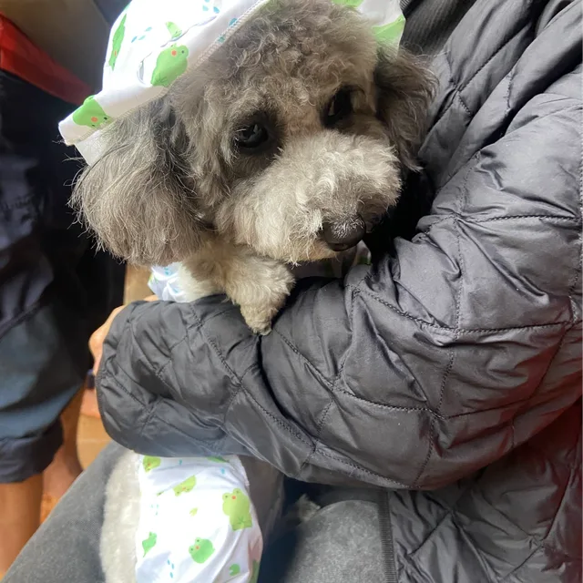 누리