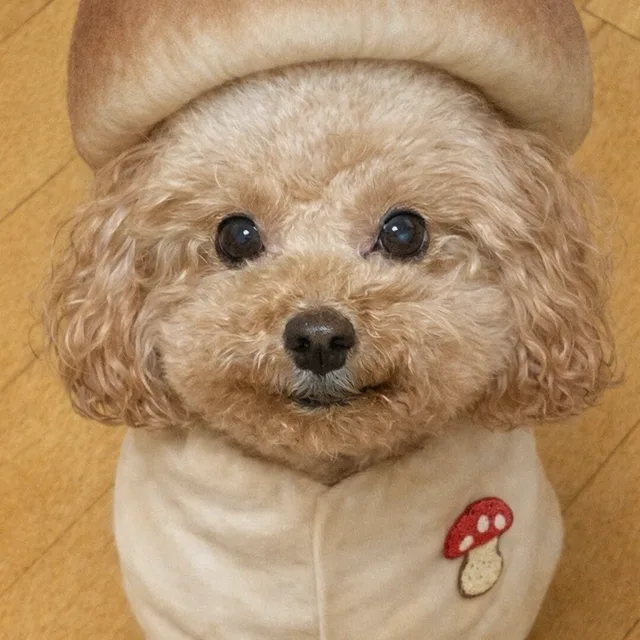 엘라