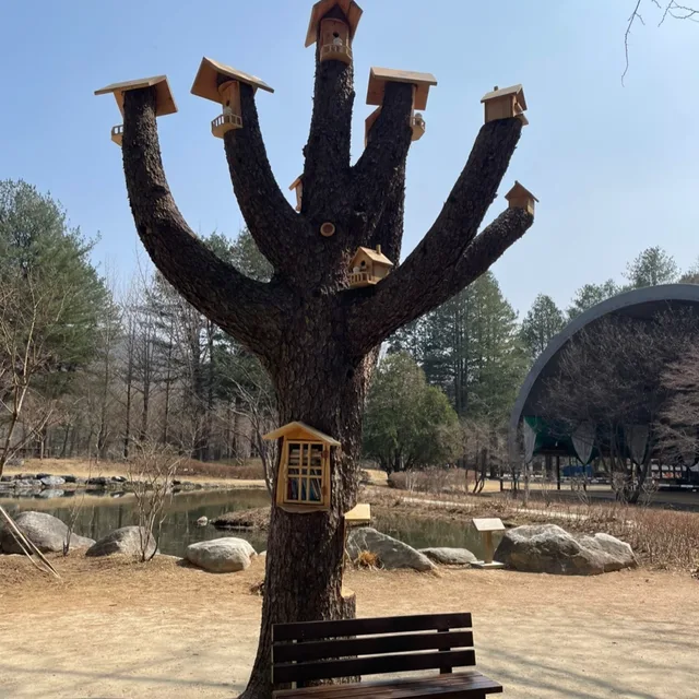 리치포도