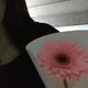 용가리