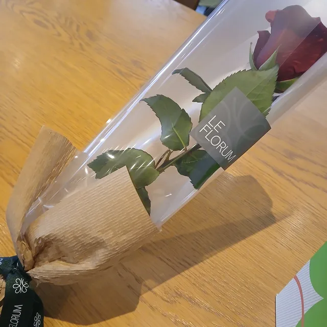 현앤윤