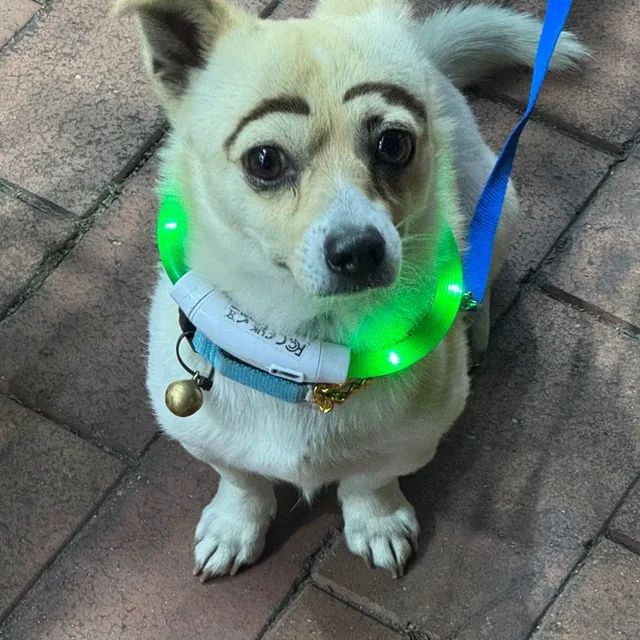가나디